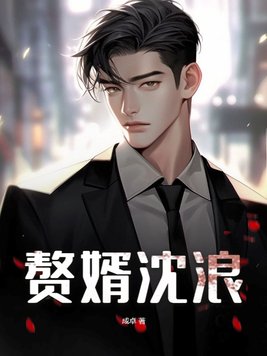 赘婿沈浪