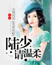 宠妻成瘾：陆少请温柔