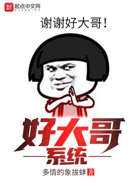 好大哥系统