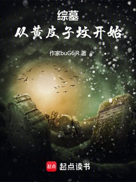 综墓:从黄皮子坟开始