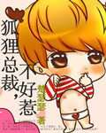 狐狸总裁，不好惹