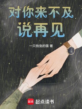 对你来不及说再见