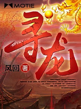 寻龙