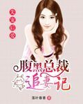 先宠后爱:腹黑总裁追妻记