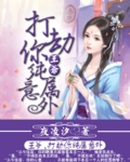 王爷，打劫你纯属意外
