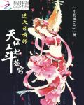 逆天召唤师：天仙王妃斗苍穹