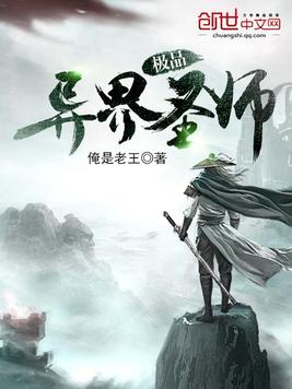 极品异界圣师