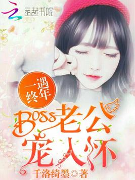 一遇终年：Boss老公宠入怀