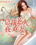 总裁惹火夜欢妻