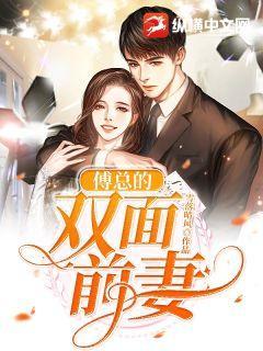 傅总的双面前妻