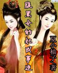 腹黑女的妃成事迹