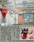 冬天的雪糕不凉