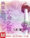 韩娱之亡命之徒