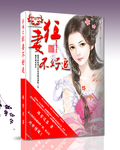 穿越之狂妻不好追