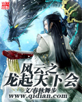风云之龙起天下会