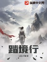 踏境