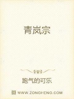 青岚宗