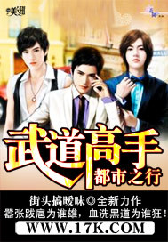 武道高手都市之