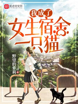 我成了女生宿舍一只猫
