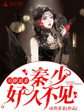 天价宠妻：秦少，好久不见