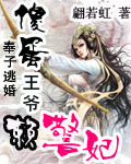 奉子逃婚：傻蛋王爷赖警妃