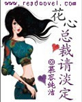 花心总裁请淡定