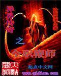 异界传奇之全职鞭师