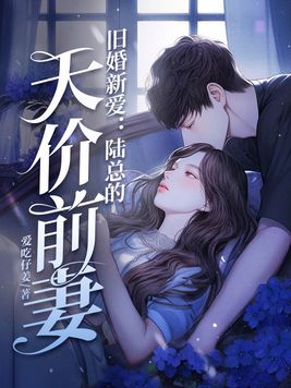 旧婚新爱:陆总的天价前妻