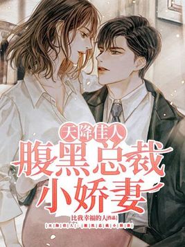 天降佳人：腹黑总裁小娇妻