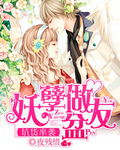 坑货来袭之妖孽做盆友