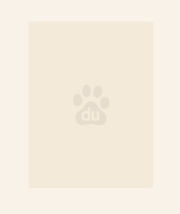 捡属性系统