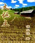 大地土