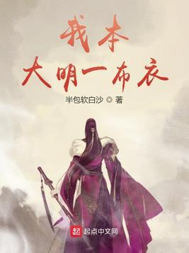 我本大明一布衣