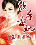 杀手毒妃