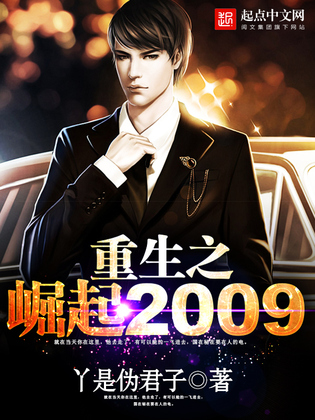 重生之崛起2009
