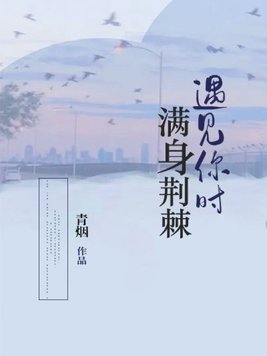 遇见你时满身荆棘