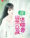 宠妻成瘾:腹黑总裁迷糊妻
