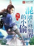 混迹在修仙界的小偷