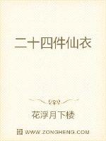 二十四件仙衣