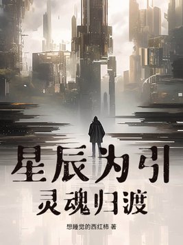 星辰为引:灵魂归渡
