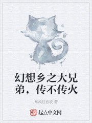 幻想乡之大兄弟，传不传火