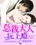 总裁大人，玩上瘾