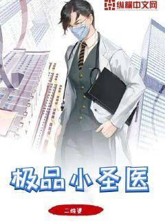 极品小圣医