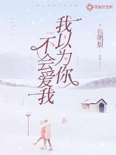 我以为你不会爱我