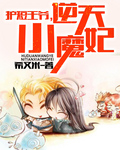 护短王爷，逆天小魔妃