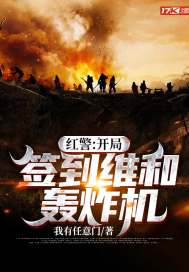 红警:开局签到维和轰炸机