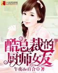 酷总裁的厨师女友