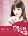 总裁专属小娇妻