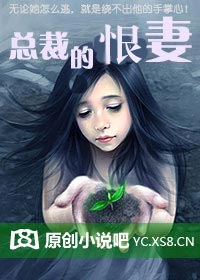 总裁的恨妻（全本）