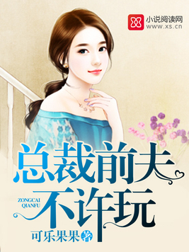 总裁前夫不许玩